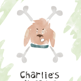 Книжная обложка 