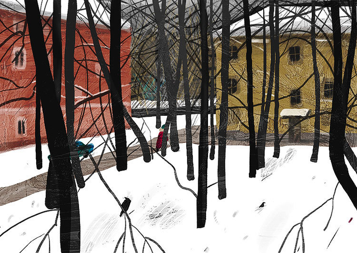 Вид из моего окна