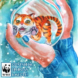 Сохраним природу вместе - амурский тигр