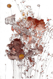 разнотравье весеннее