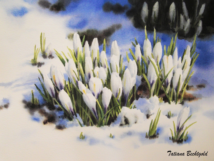 Весна. Первоцвет.