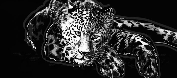 Леопард отдыхает.