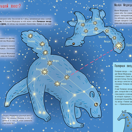 Большая медведица