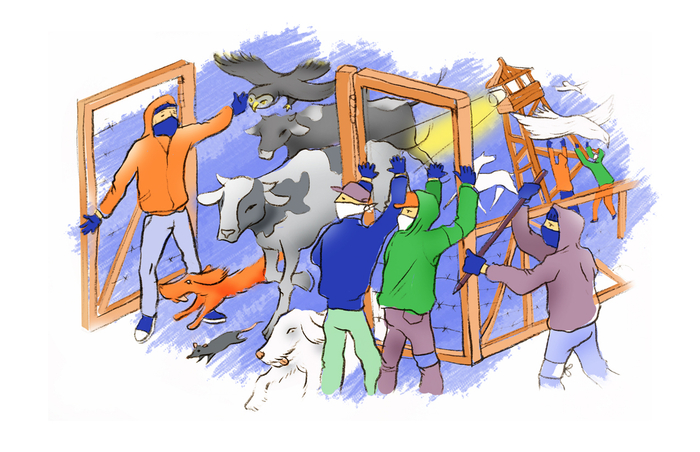 иллюстрация к статье 