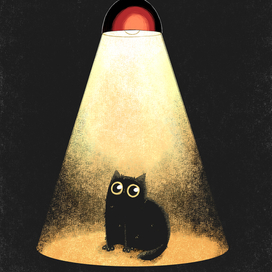 Черный Кот в черной комнате