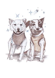 Иллюстрация к детской книге. Белка и Стрелка.