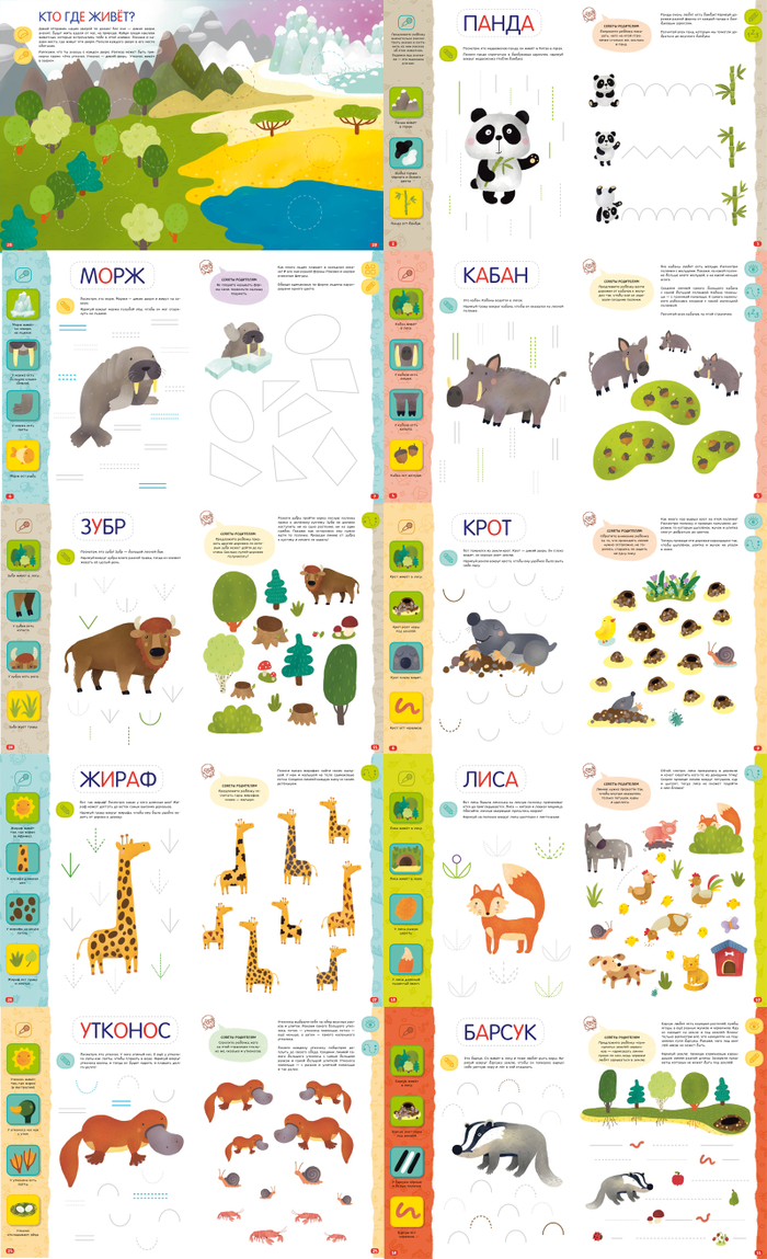 Логика. Дикие звери