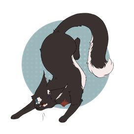 Любопытство