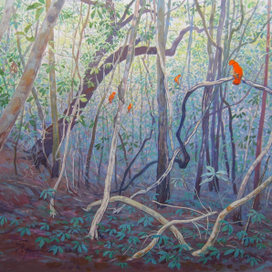 Кампинарана