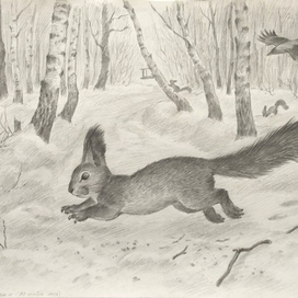 в Сокольниках