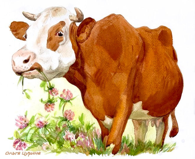 «Везуха» Ю. Коваль для изд. Качели