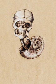 "Время. Погремушка"