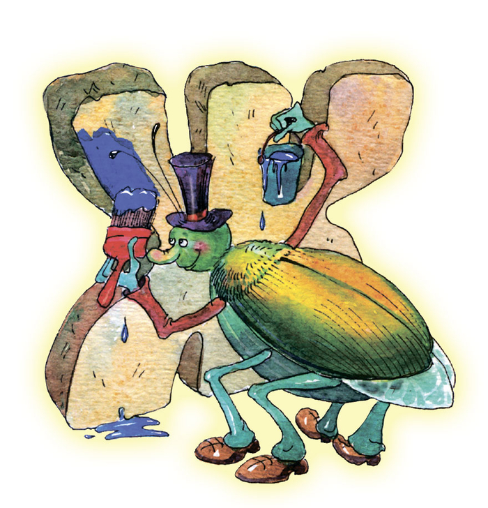 Буква Ж и жук