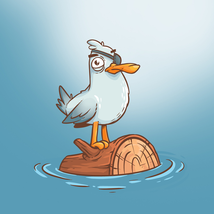 Чайка пират