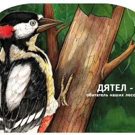 Дятел