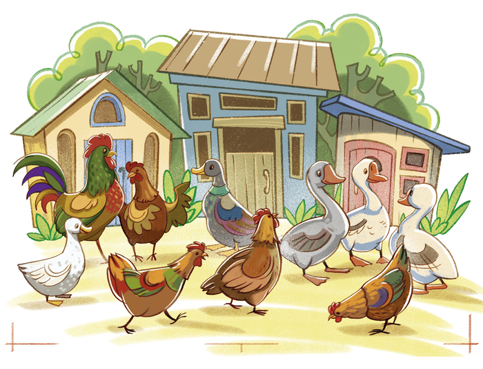 птичий  двор