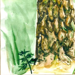 Ствол сосны