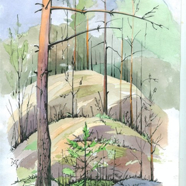 ястребиное