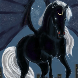 Here comes the Night