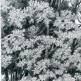 Парк Павловск-2022