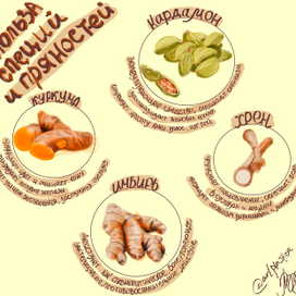 Серия иллюстраций "Польза специй и пряностей"