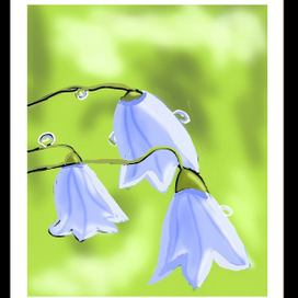 Утро свежее - каплей медовой...