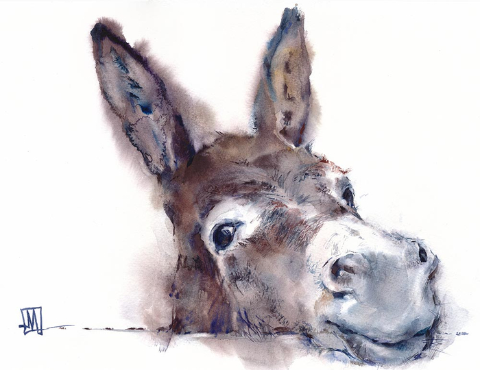 Positive donkey watercolor