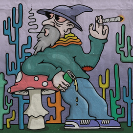 Лесной отдых/Forest chillin’