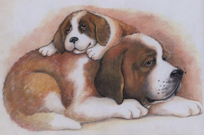 Сенбернары