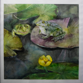 Фимины лягушки