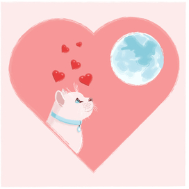 Valentine Cat