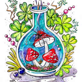 Чарующий мир магии - Баночка с мухоморами