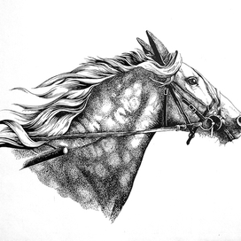 Портрет лошади "Квадратик"