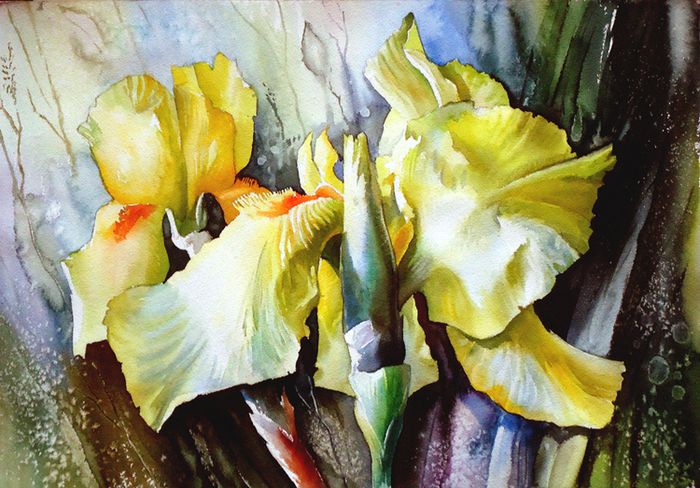 ,,Ирис желтый,,Акварель.