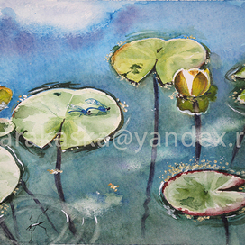 Молодожёны