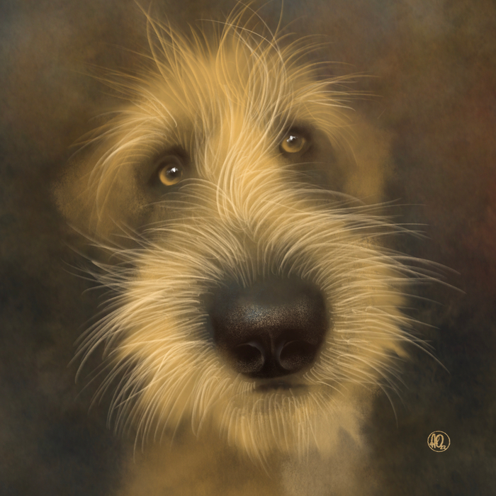 Гулять идём?