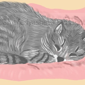Серая кошка спящая на розовой подушке