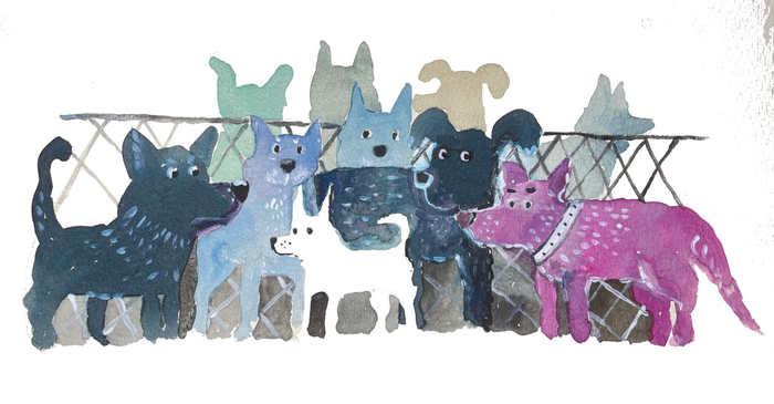 Самый маленький в приюте