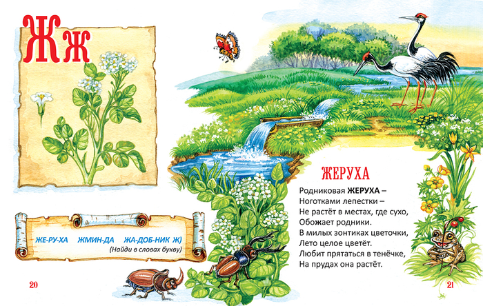 Иллюстрация к "Овощной азбуке" Людмилы Соломиной