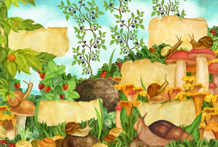 Большая Книга Насекомых