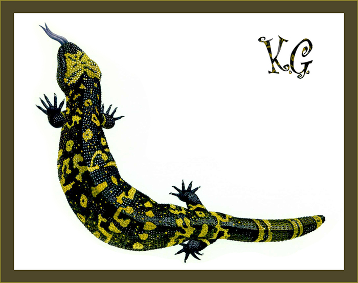 Саламандра