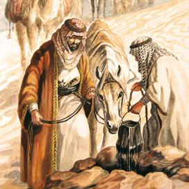 Сначала коню...