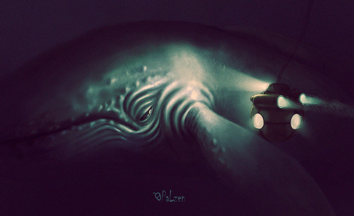 Экспедиция 3