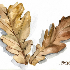 Осенние листья