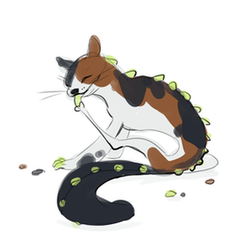 Дракон Нита