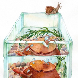 Аквариум на лето