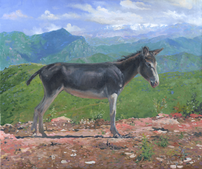 Ослик в горах