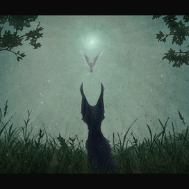 Сивер и птица