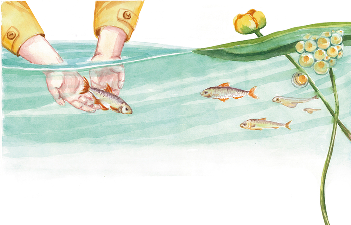 иллюстрация для книги "Кто поймался, дедушка?"