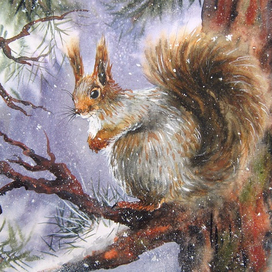 Белка зимой